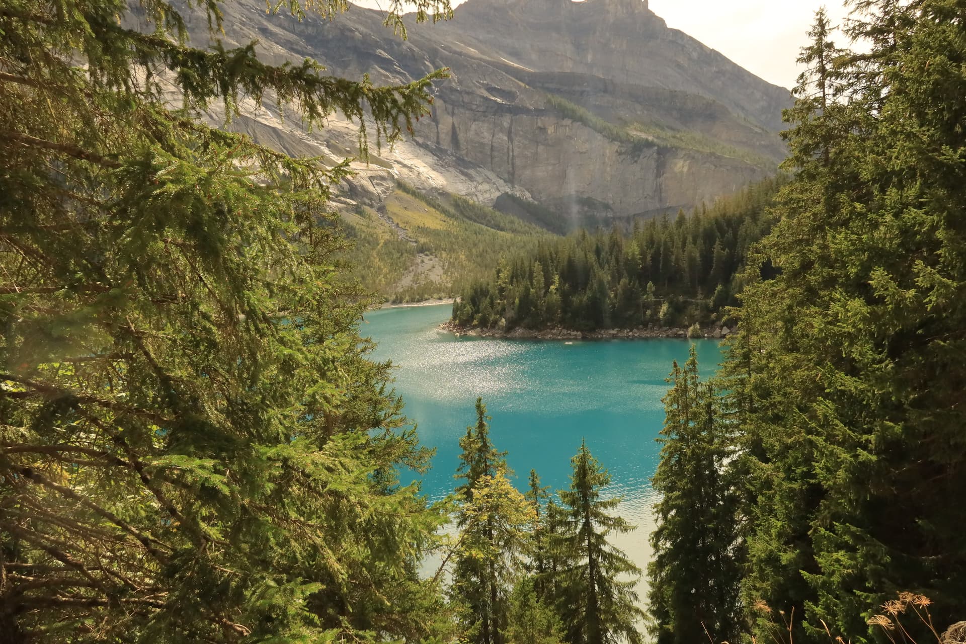 Turquoise alpine lake seen through pine branches, with sheer rock cliffs rising behind